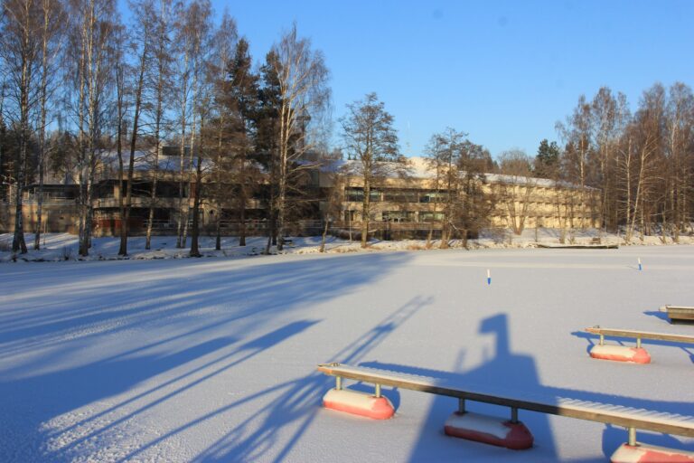 Waltikka Rockabilly Weekender